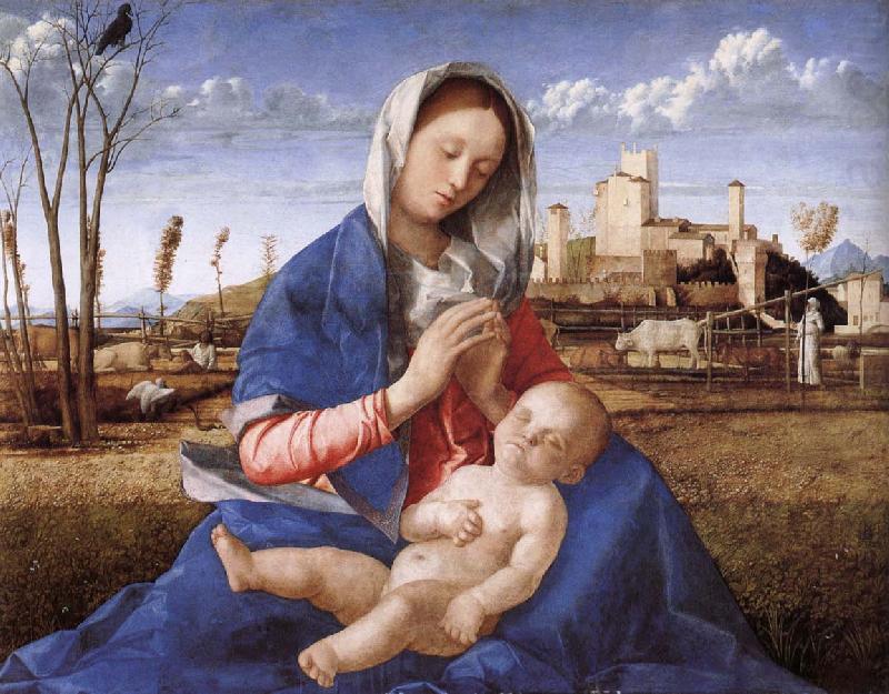 Giovanni Bellini Madonna pa indicated china oil painting image